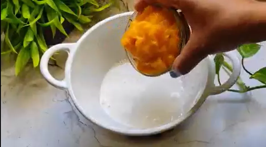 Mango Delight Recipe